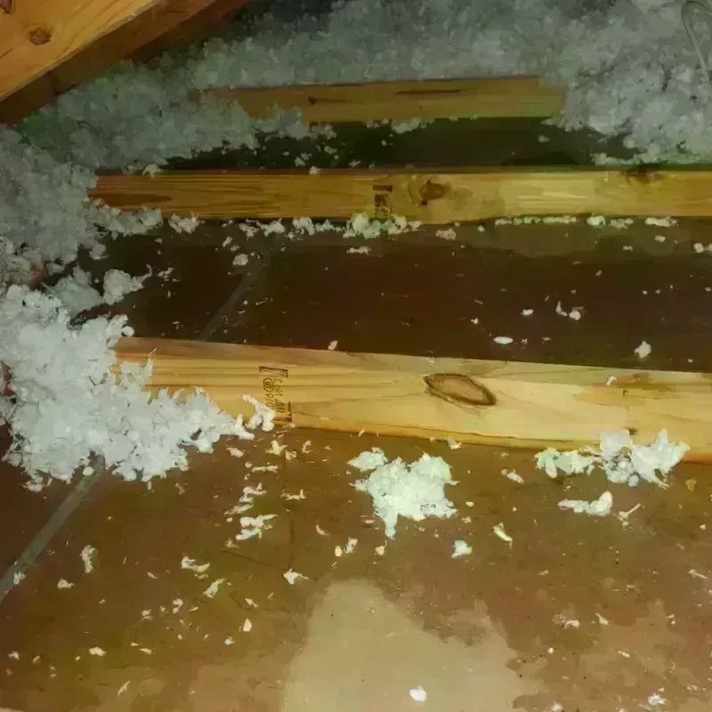 Attic Water Damage in Mountain View, HI