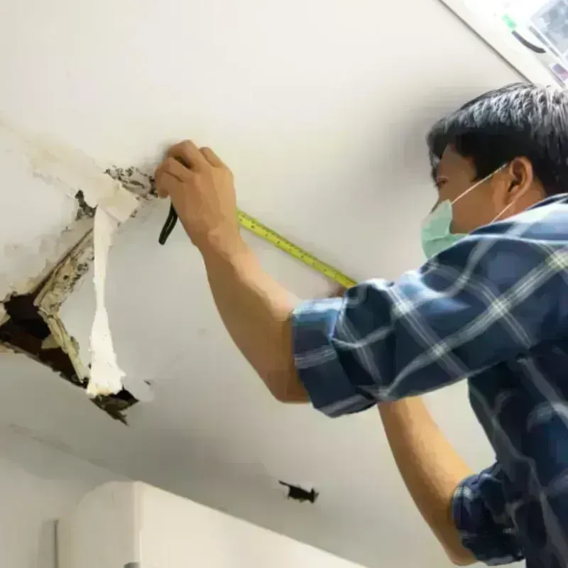 Ceiling And Wall Water Damage in Mountain View, HI