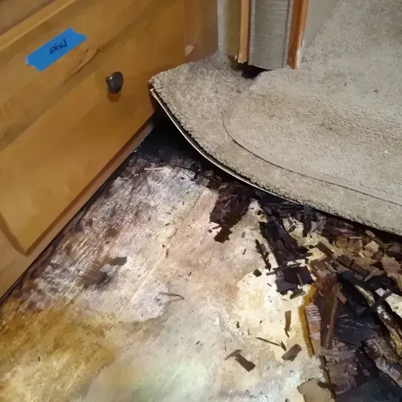 Best Wood Floor Water Damage Service in Mountain View, HI